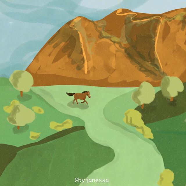 wild horses